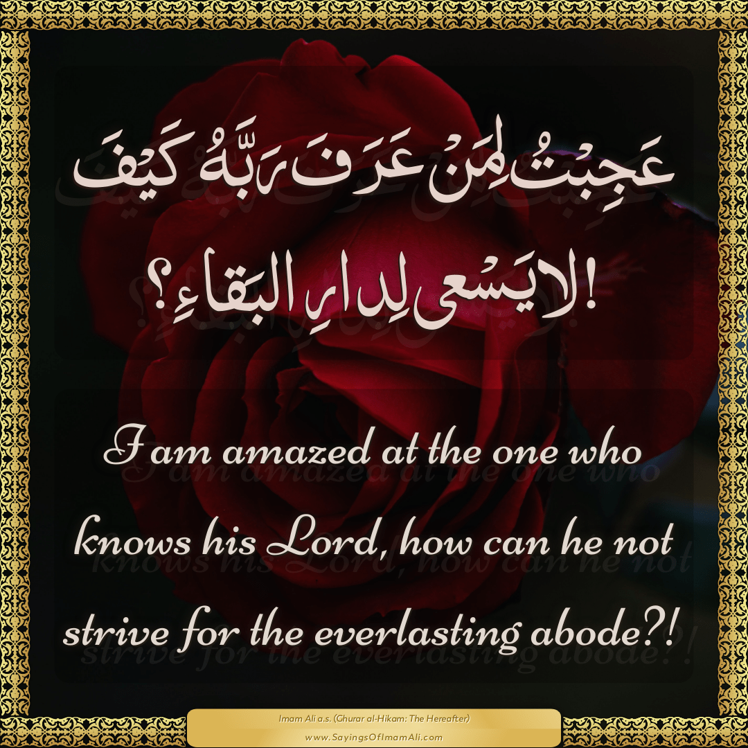 I am amazed at the one who knows his Lord, how can he not strive for the...